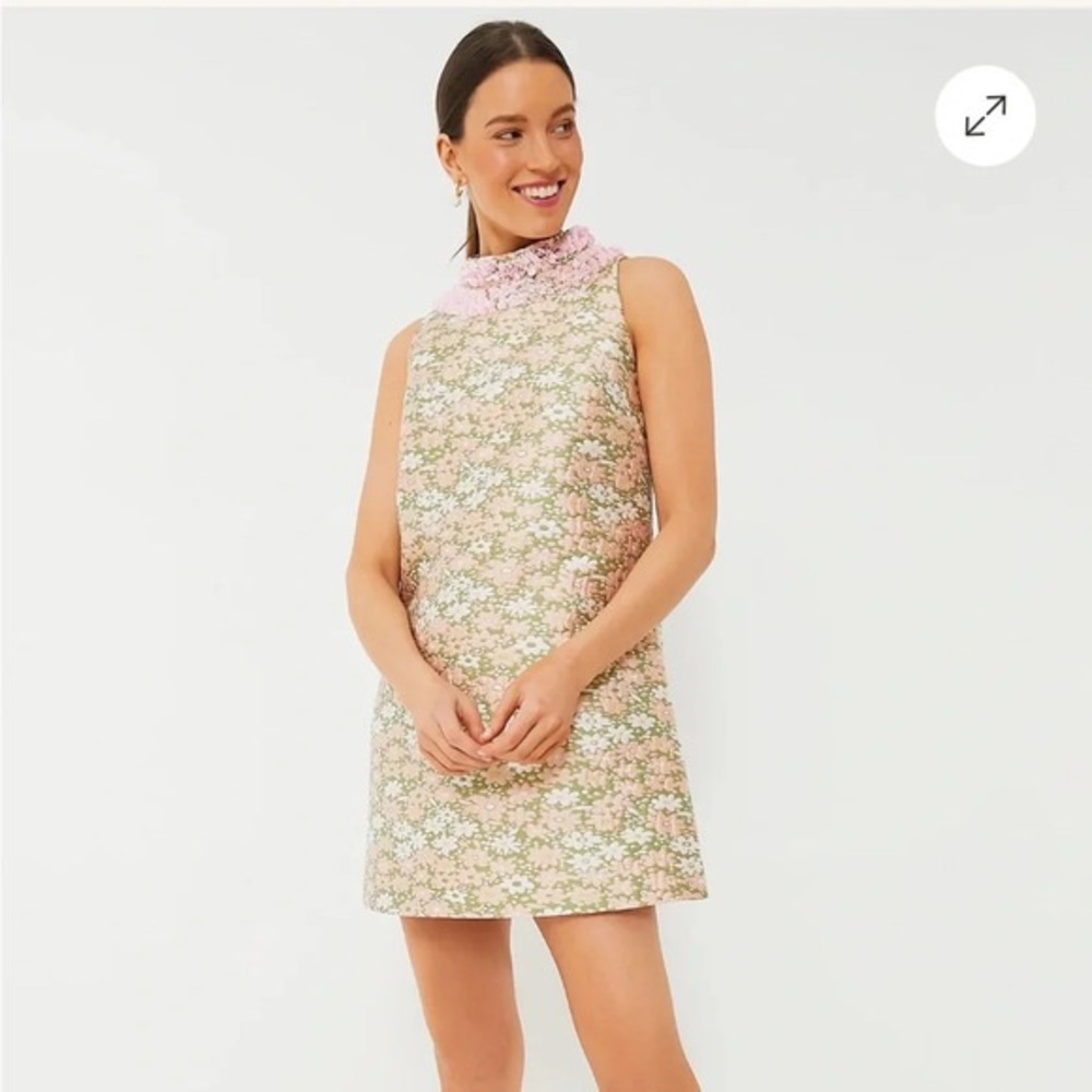 Tuckernuck Green and Pink Sheath Mini Dress